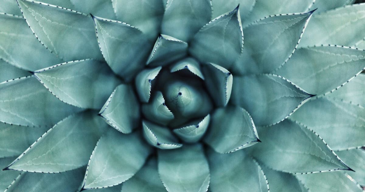 Therapeutic Massage Fort Worth Opens at Salon &amp; Spa Galleria