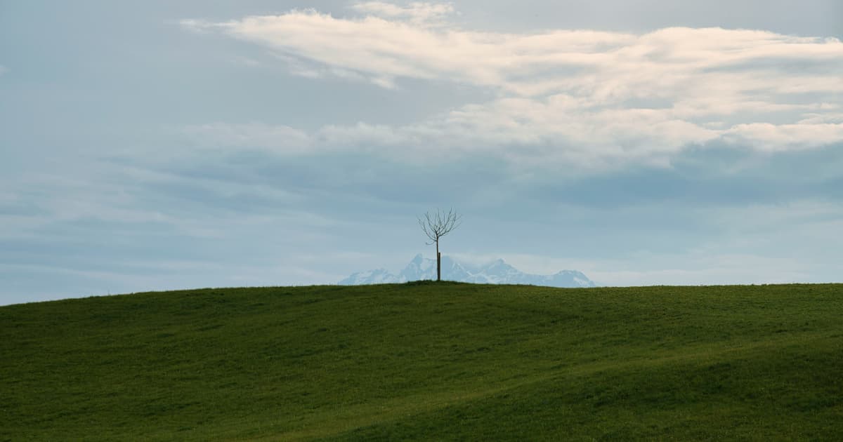 Renewal Fuels Files 20 Patent Applications for Texatron™ Fusion Platform, Plans 240 More