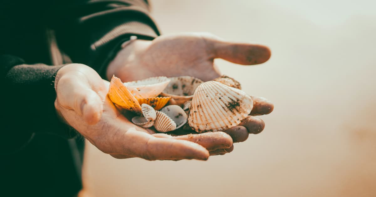 Military Spouse Advocacy Network to Host Inaugural Empowerment Event at Lackland Air Force Base