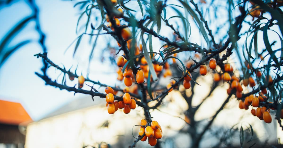 UroLux Concierge Launches Specialized Center for Menopausal Women's Health in Texas