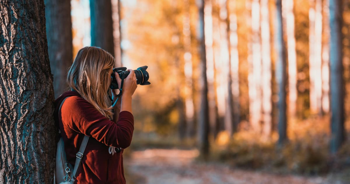 1967 Mercedes-Benz 250SE Coupe: Understated Elegance, Engineered to Endure