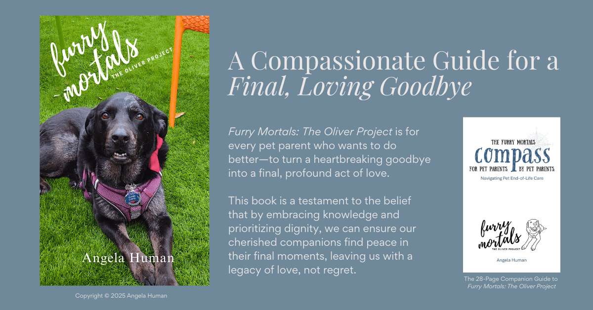 Texas Author's New Book Addresses Emotional and Practical Challenges of Pet End-of-Life Care