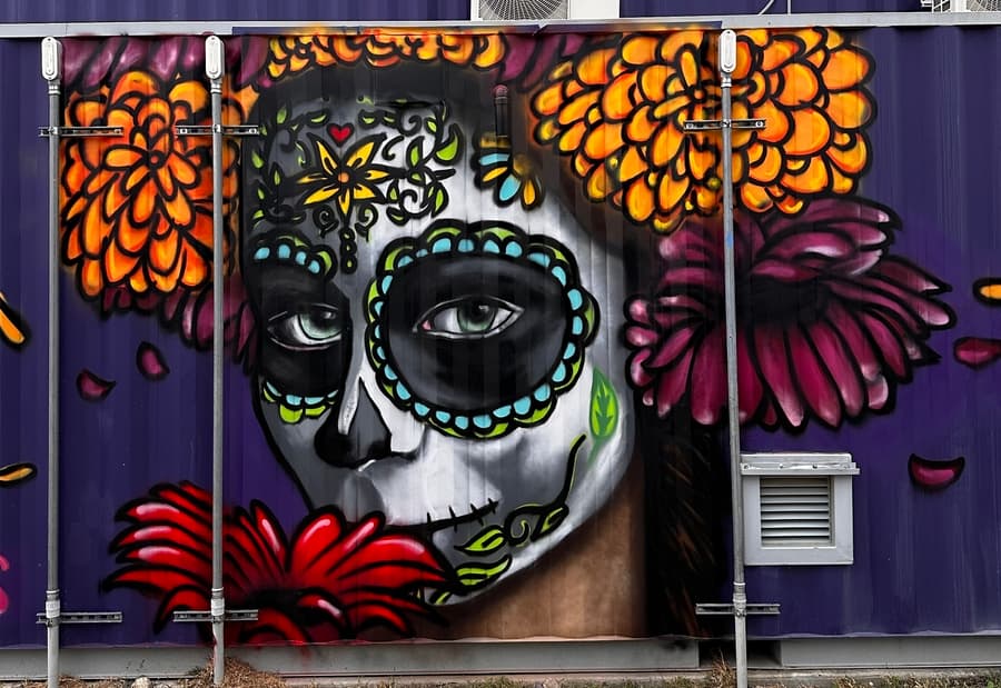 Fort Worth Design District Enhances Creative Environment with New Murals by Local Artist